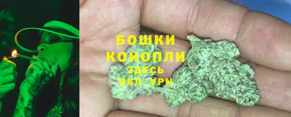 ГАЛЛЮЦИНОГЕННЫЕ ГРИБЫ Верея
