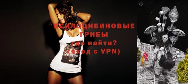 герыч Верхний Тагил
