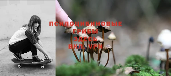 ГАЛЛЮЦИНОГЕННЫЕ ГРИБЫ Верея