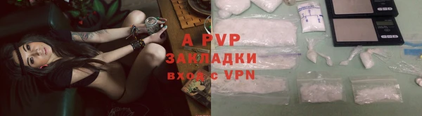 ГАЛЛЮЦИНОГЕННЫЕ ГРИБЫ Верея