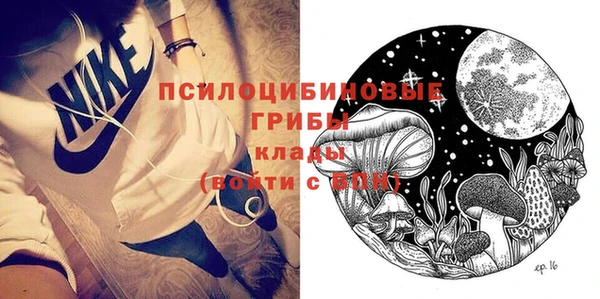 ГАЛЛЮЦИНОГЕННЫЕ ГРИБЫ Верея