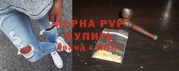 ГАЛЛЮЦИНОГЕННЫЕ ГРИБЫ Верея