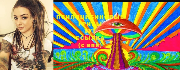 ГАЛЛЮЦИНОГЕННЫЕ ГРИБЫ Верея