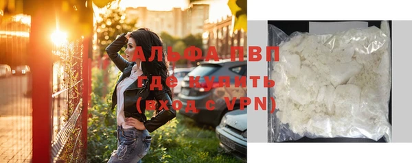 ГАЛЛЮЦИНОГЕННЫЕ ГРИБЫ Верея